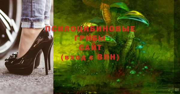 амф Абинск