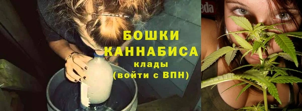 стаф Рославль