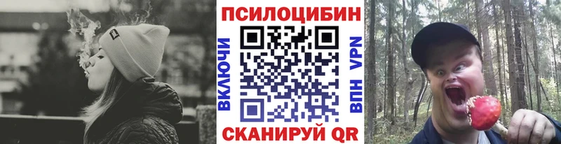 Псилоцибиновые грибы ЛСД Новосиль